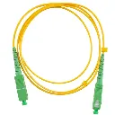 en-spcsm-scasca 1.webp