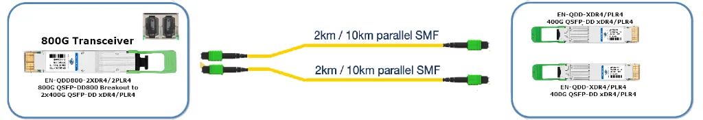 EN-QDD800-2XDR4_2PLR4 Dual MPO 800G Breakout to 2x400G-XDR4_PLR4 connectivity example.webp