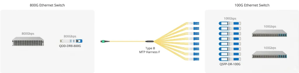 EN-QDD800-DR8-M16 800G DR8 8x100G DR1 example.webp